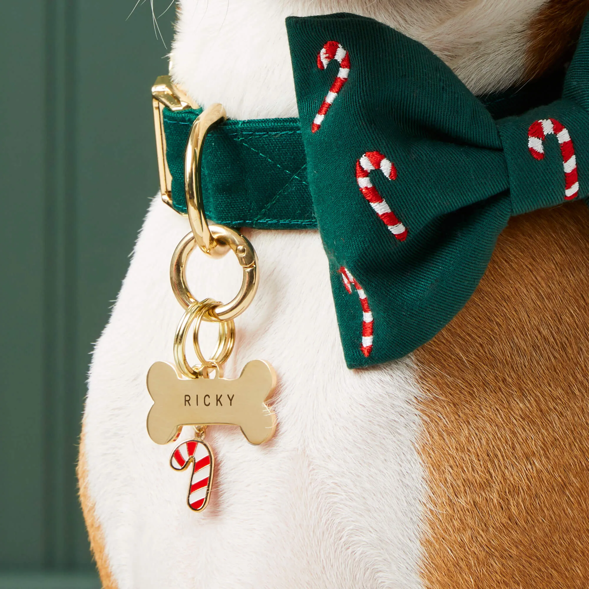Candy Canes Embroidered Dog Bow Tie