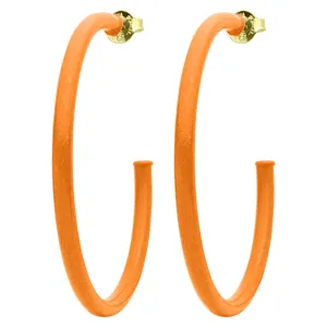 Sheila Fajl Everybody’s Favorite Hoops