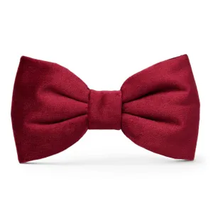 The Foggy Dog Bow Tie - Burgundy Velvet