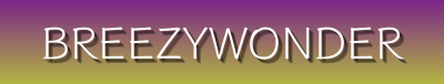 BreezyWonders | Timeless Jewelry, Fashion Accessories & Trendy Must-Haves